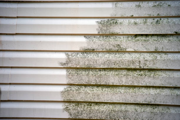 Historical Building Siding Restoration in Three Rivers, CA