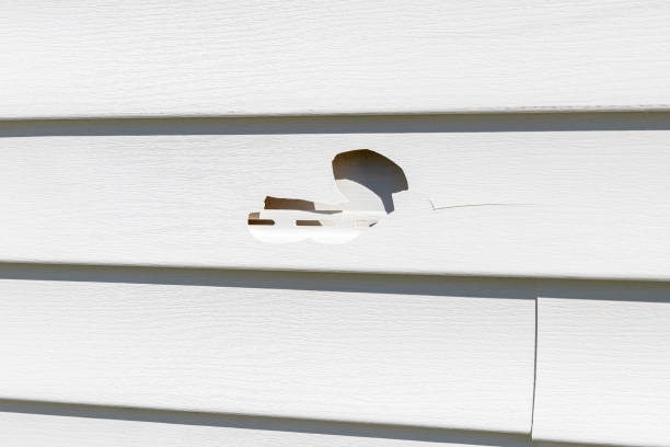 Best Fiber Cement Siding Installation  in Three Rivers, CA